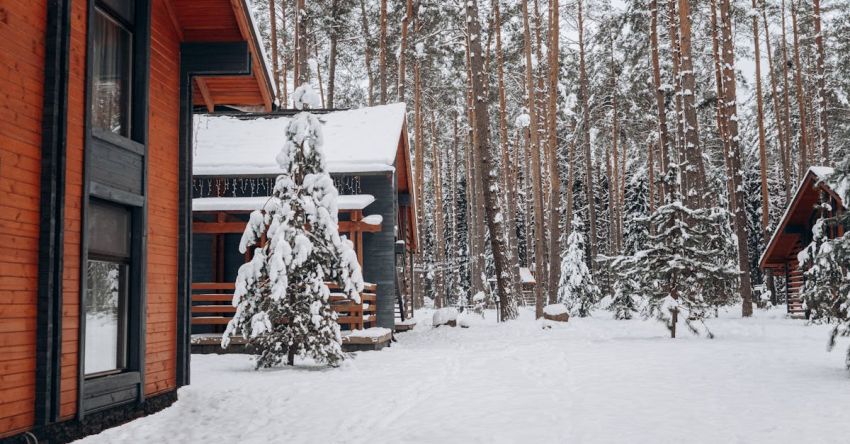 Ski Chalet - Winter Landscape