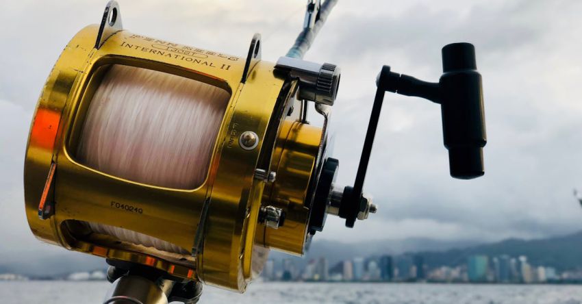 Fishing Gear - Selective Focus of Brown Fishing Reel