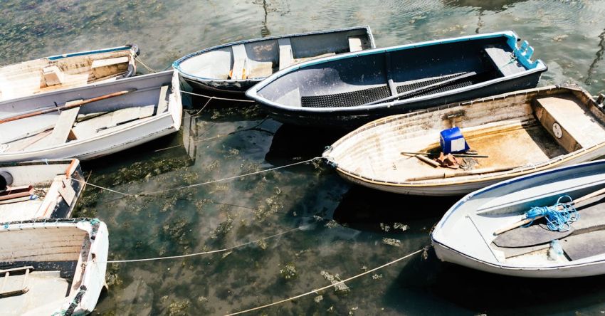 Fishing Trip - From above of small simple empty boats moored to shore with long thin ropes in sunlight