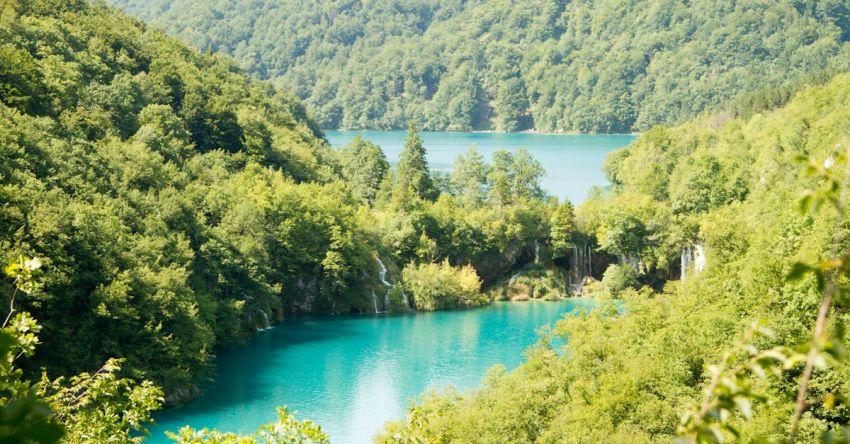 Lakes - Body of Water Surrounded by Trees